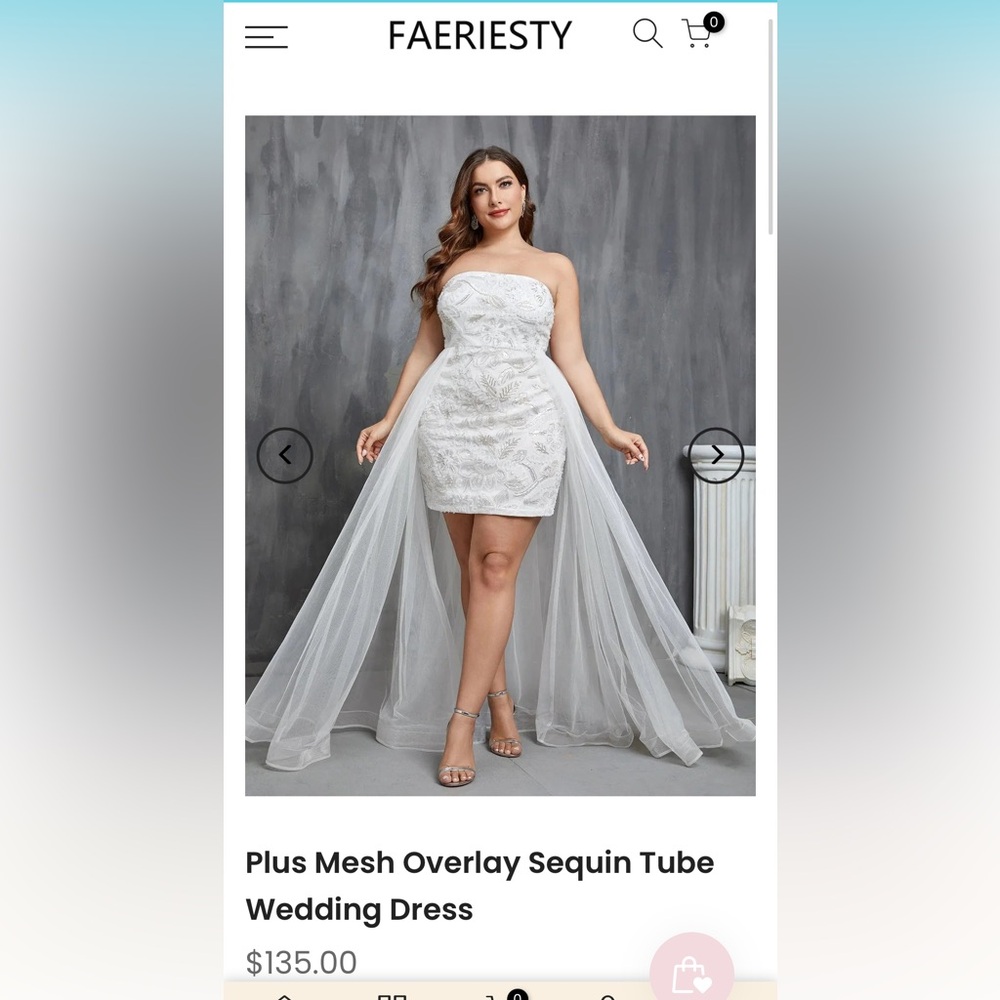 Faeriesty Plus Mesh Overlay Sequin Tube Dress